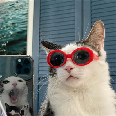 Phạm Gia Phát avatar